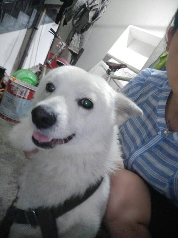 ��Ҳ������