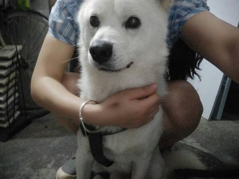 ��Ҳ������