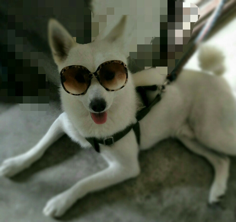 ��Ҳ������