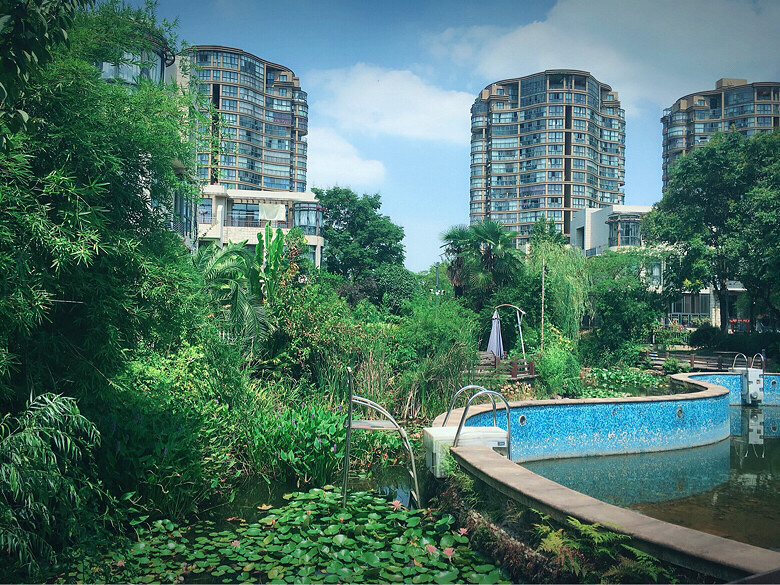 �������޻�԰