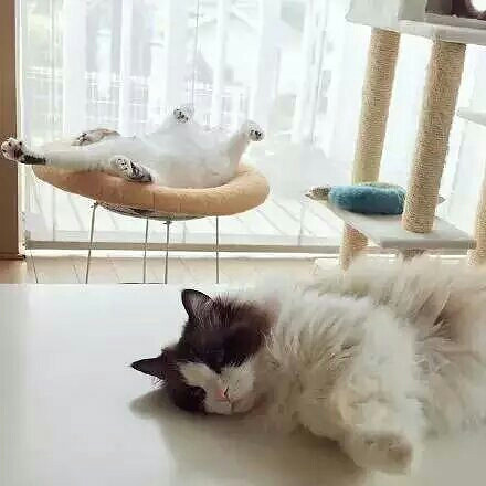 Ů����Ů���ӵ�����