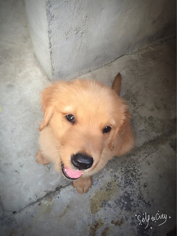 ���������ȵ�ССë