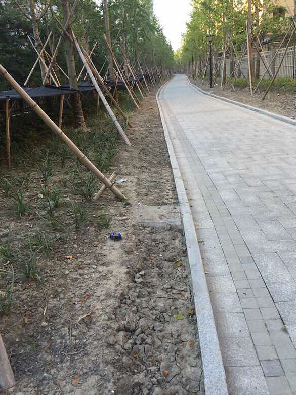 ���ߡ���