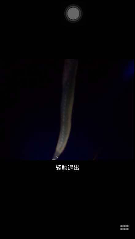 ����ʲô���֣�