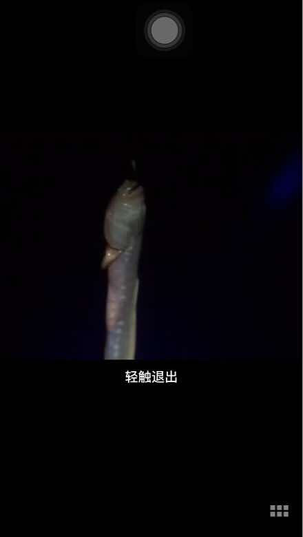 ����ʲô���֣�