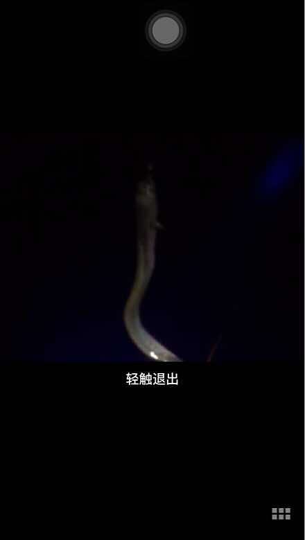 ����ʲô���֣�