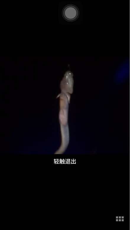 ���ڲ鵽�ˣ���ʹ������ʹ������ʹ����