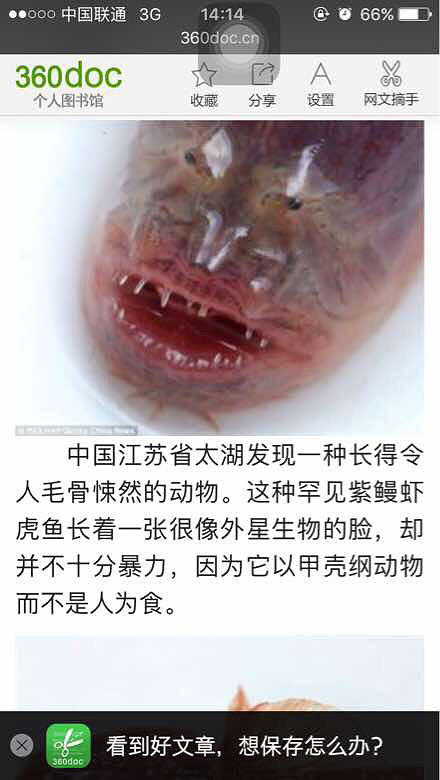 ���ڲ鵽�ˣ���ʹ������ʹ������ʹ����