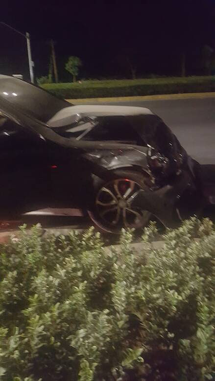 �µ�������