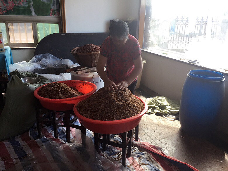 �������վƣ���ͳ���գ�