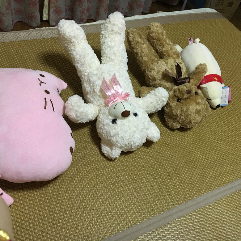 ����������ʼ�Ͽ���