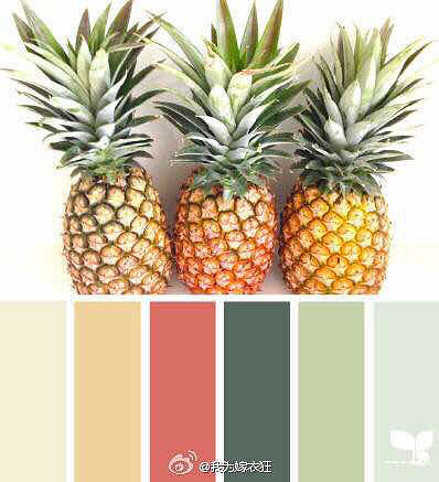 �Ը�����ɫ���޷�����