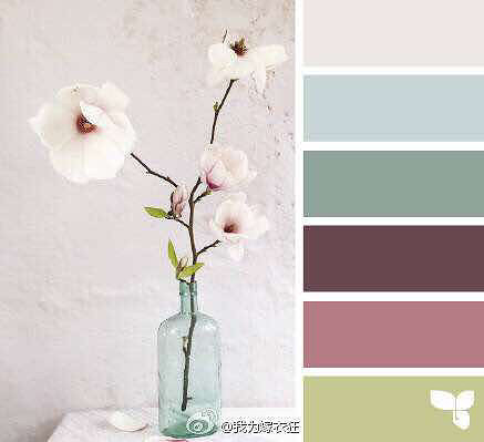 �Ը�����ɫ���޷�����