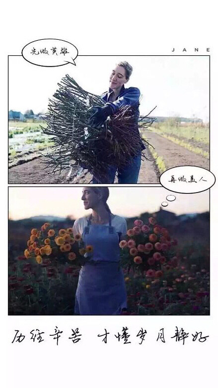 ����Ӣ�ۣ���������