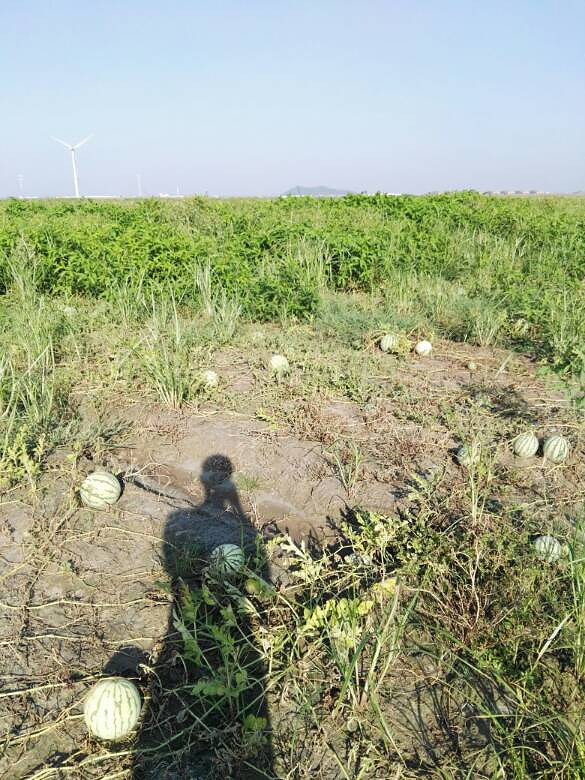 ʣ�������û��Ҫ