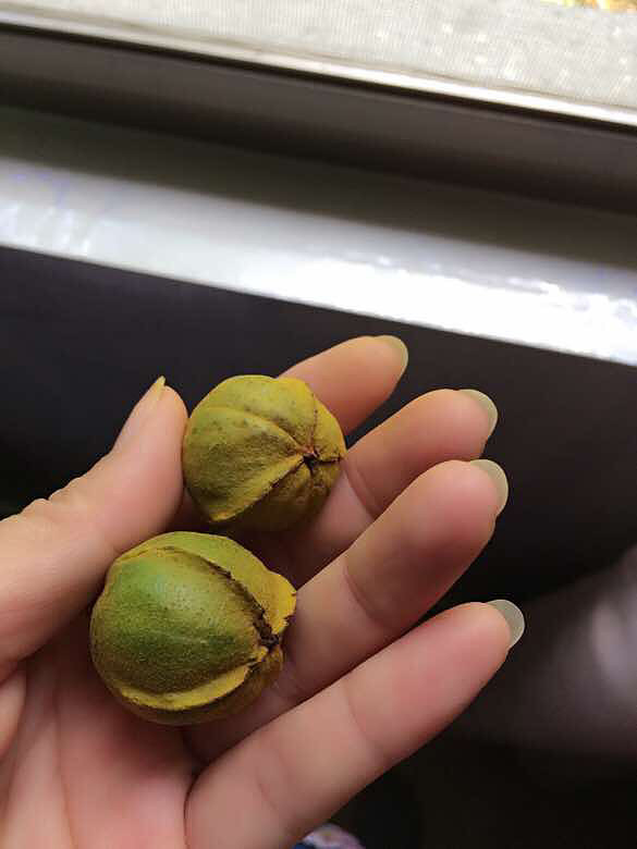 ��һȦ������