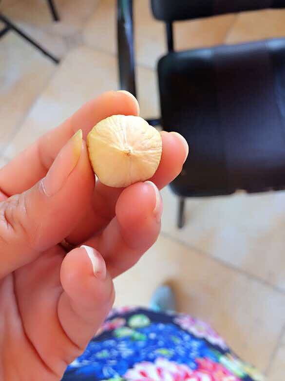 ��һȦ������