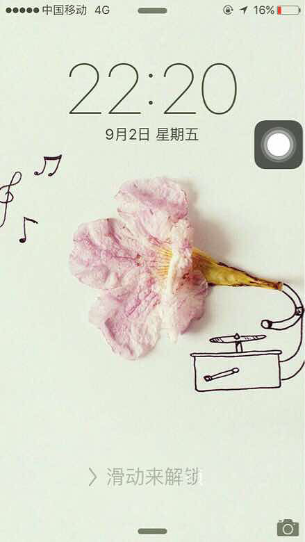 ɹ�ֻ�����