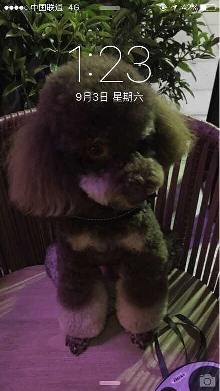 �ֻ�����