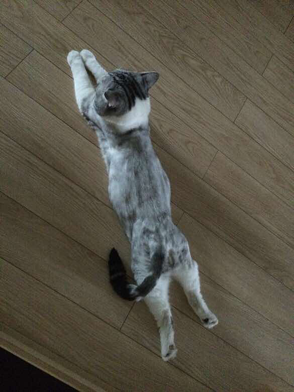 �ؼҺ󿴵���һĻ