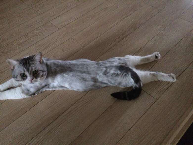 �ؼҺ󿴵���һĻ