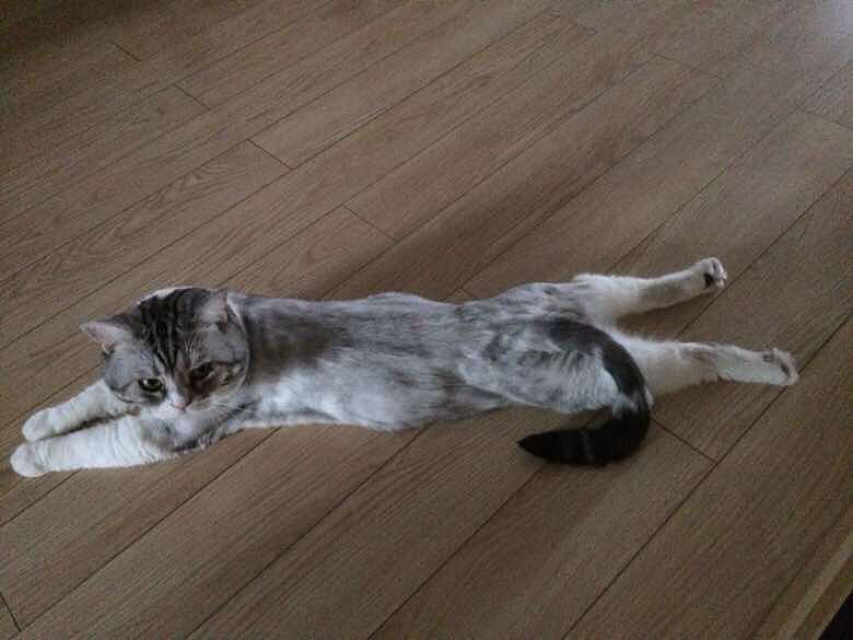 �ؼҺ󿴵���һĻ