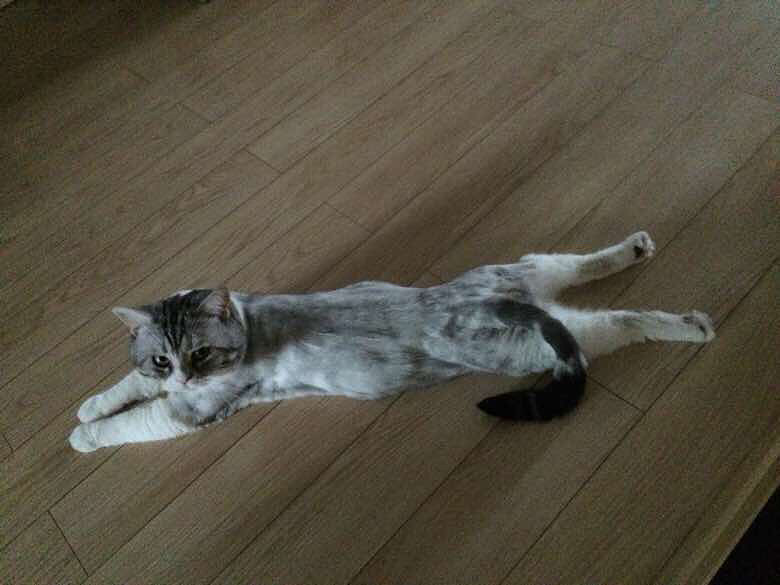 �ؼҺ󿴵���һĻ