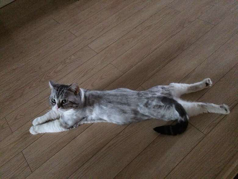 �ؼҺ󿴵���һĻ