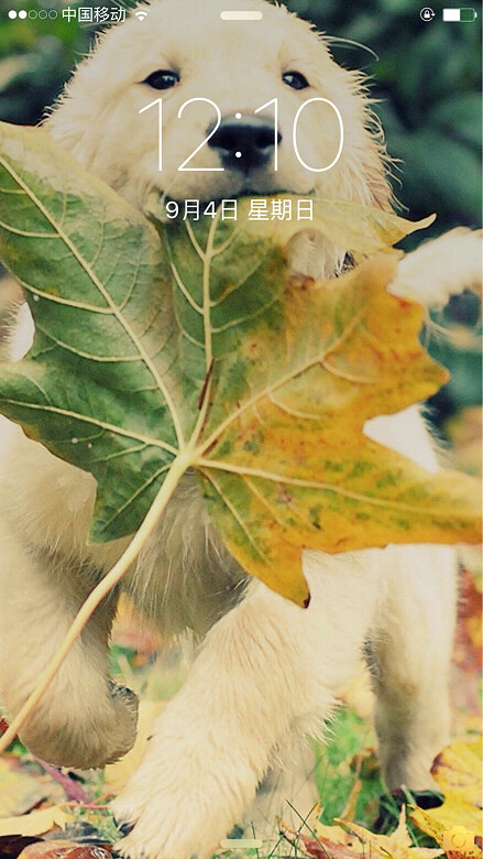 �ǰͿ���������