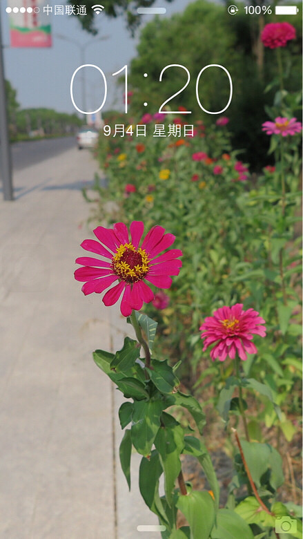 ��������֤���ҵĴ��ڣ������ǰͿ������ģ����Ǹ���