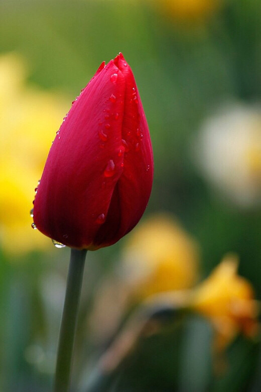 �����Ϻ����커�յ�ַ������