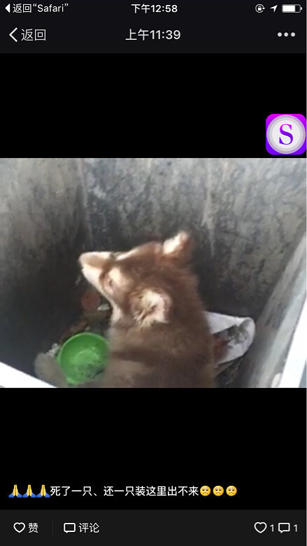 �ȹ��ȹ��ȹ��������Ĺ���