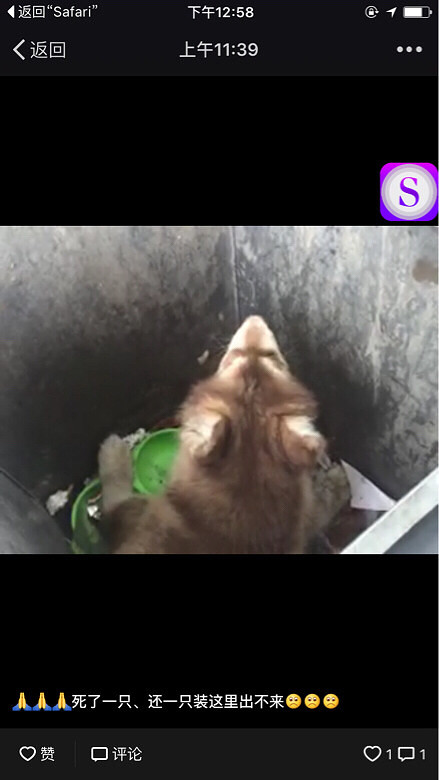 �ȹ��ȹ��ȹ��������Ĺ���