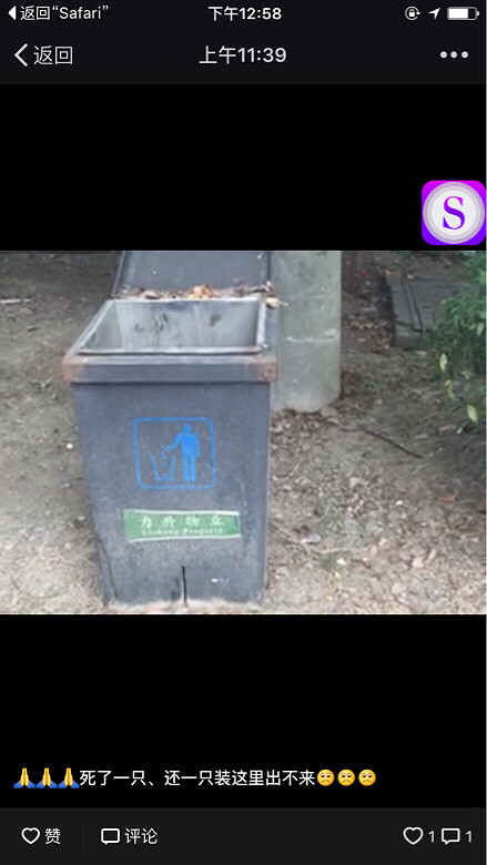 �ȹ��ȹ��ȹ��������Ĺ���