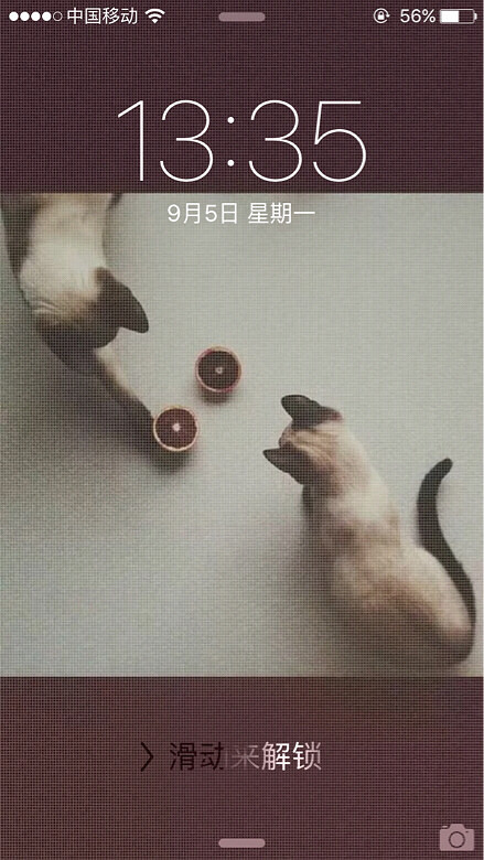 �ǰͿ� ������