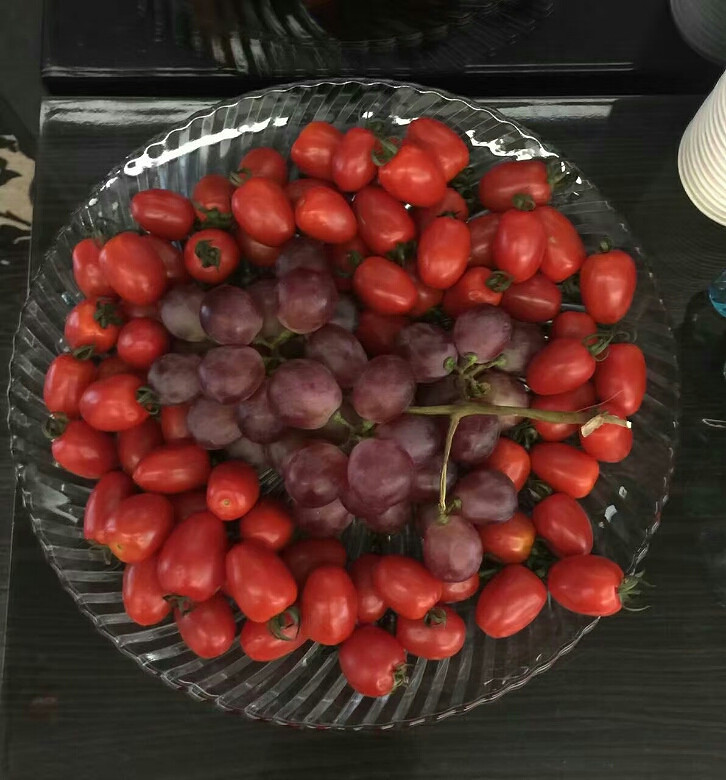 ���ѼҵĿ��� �ܸߴ��ϰ�