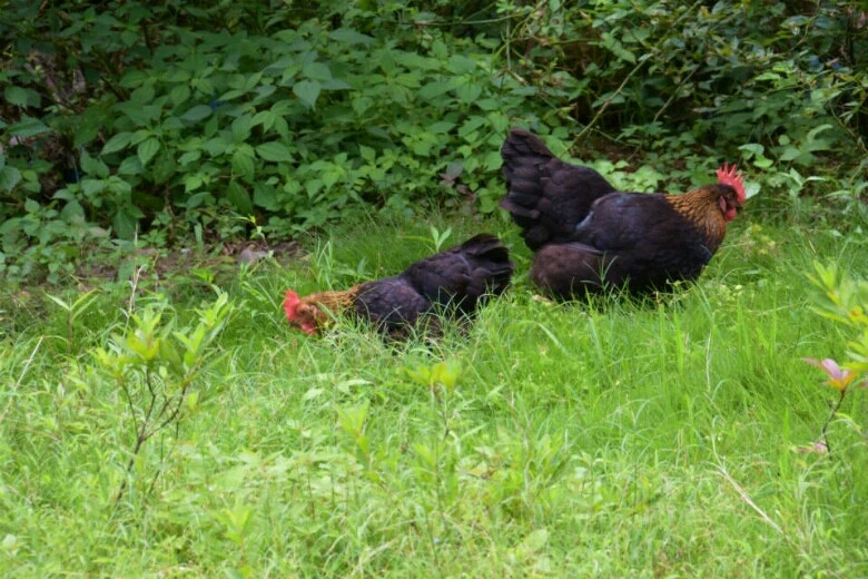 �峿�ĵ�һ��