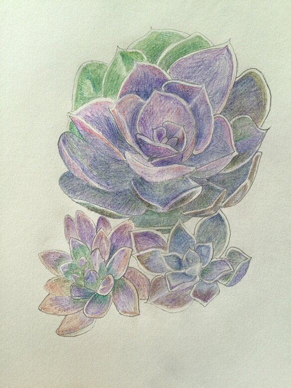 ������������