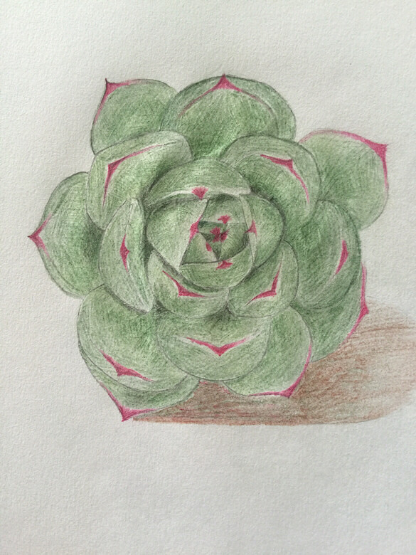 ������������