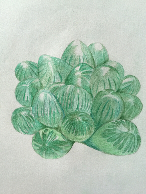 ������������