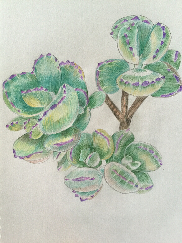 ������������