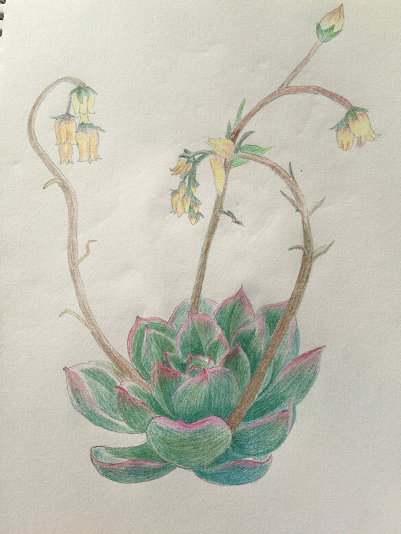 ������������