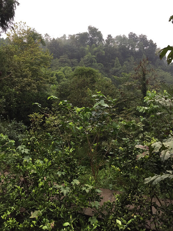 �����ϼ�