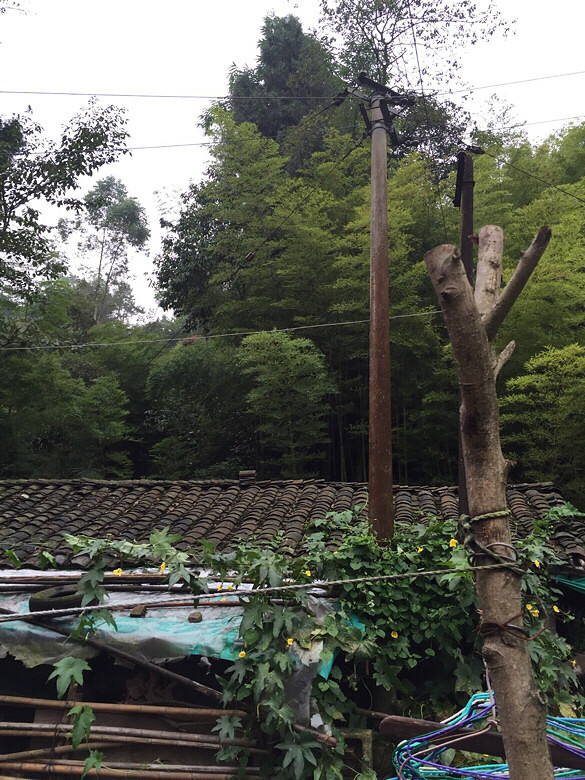 �����ϼ�