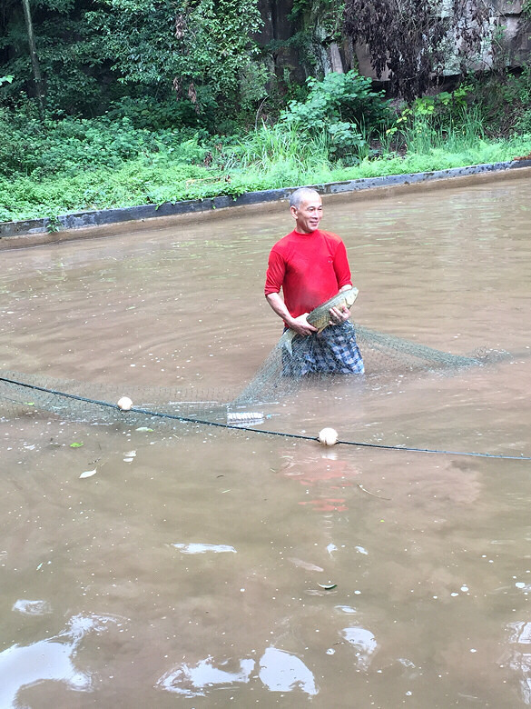 �����ϼ�