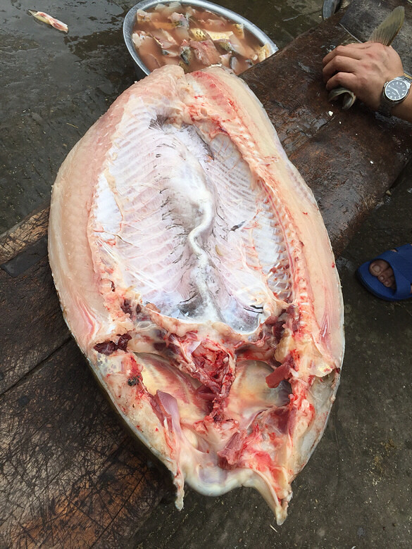 �����ϼ�