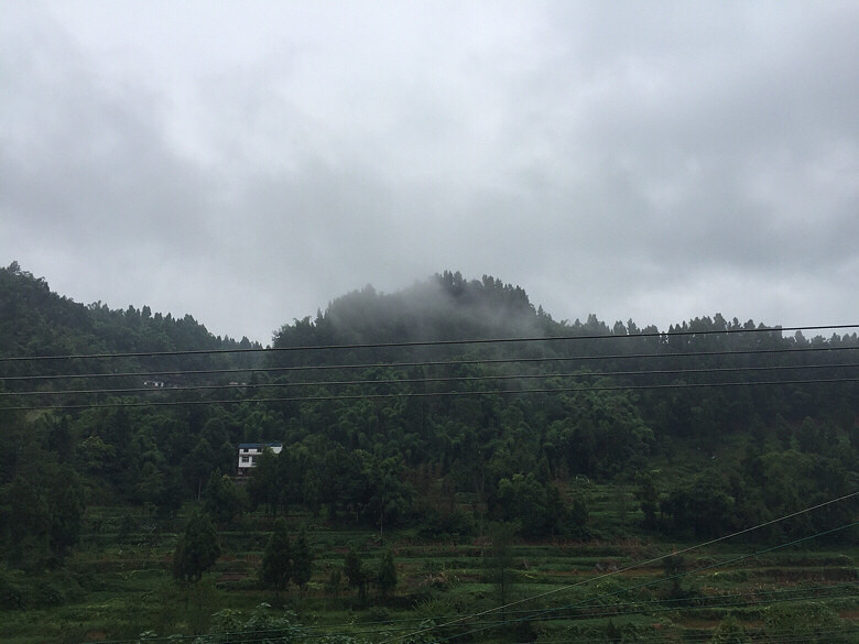 �����ϼ�