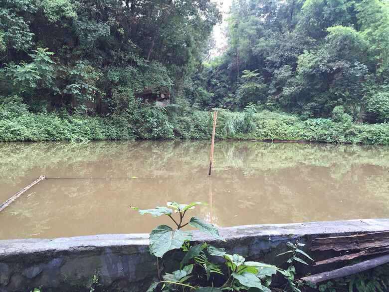 �����ϼ�