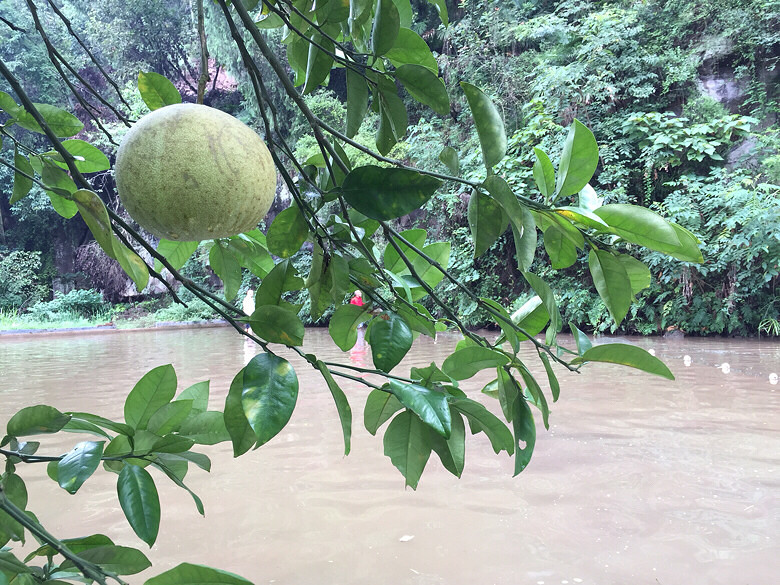 �����ϼ�