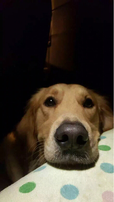 G20���������ǻؼ҆�